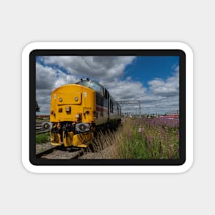 Class 37 Magnet