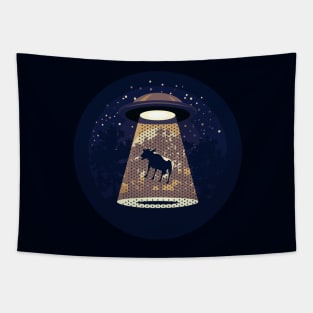 Beware UFO II Tapestry