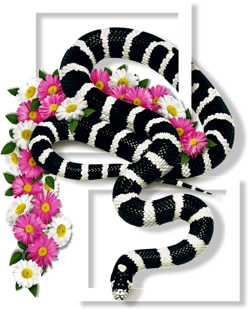 California Kingsnake Flowery - Emerald Model Kids T-Shirt by Juka