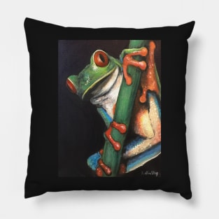 Red Eye the Jedi: Here's lookin' at you Pillow