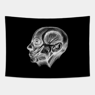 Ecorche no skin face Tapestry