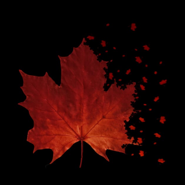 Maple Leaf Dispersion Effect by DyrkWyst