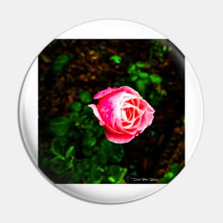 Desert Rose Pin