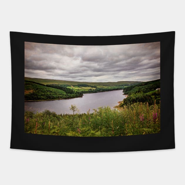 A View Over Pontsticill Reservoir Tapestry by IanWL