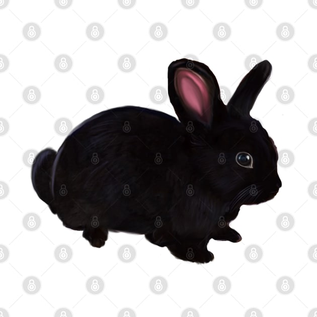 bunny rabbit - cute  ebony  dwarf mini lop bunny rabbit by Artonmytee