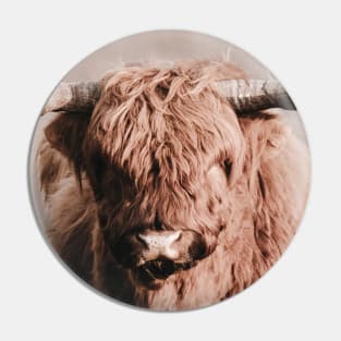 Scottish Highlander Portrait | Scottish Highlander Photography | Scottish Highlander Fine Art Print Pin