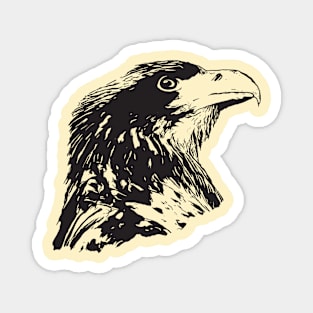 Eagle portrait Magnet