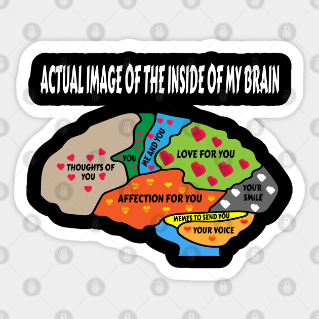 Actual Image Of The Inside Of My Brain I Love You Sticker Teepublic Au