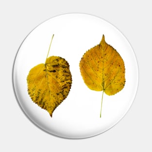 Autumn Maple Leaf Pin