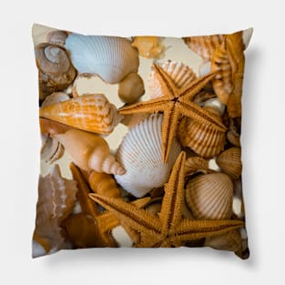 Summer Holidays Nature Seashells Pillow