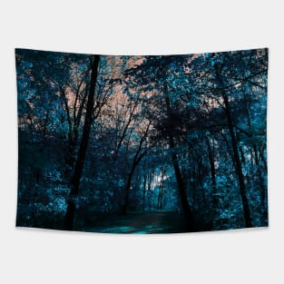 Majestic Fantasy Fall Wooded Trail Scene with Blue Foliage and Orange Sky - Indian Creek Trail Kansas City Tapestry