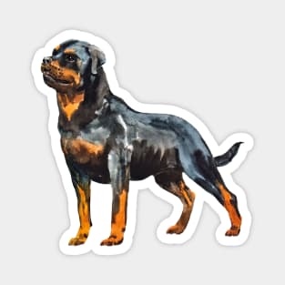 rottweiler portrait Magnet