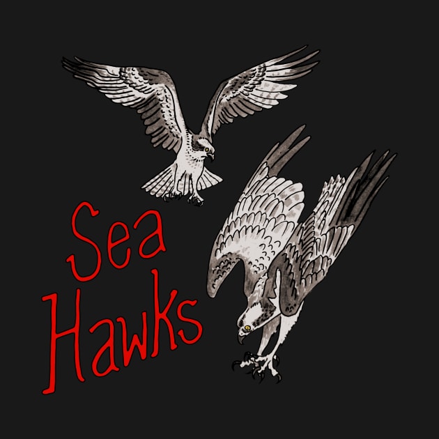 Sea Hawks by obstruction