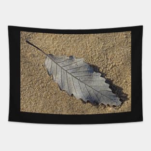 A Leaf on the Sand Tapestry