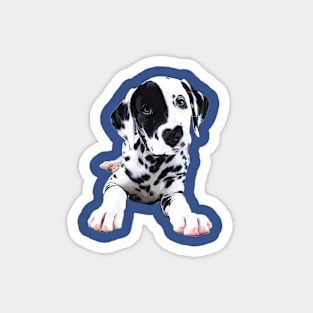 Dalmatian Puppy Dog Magnet