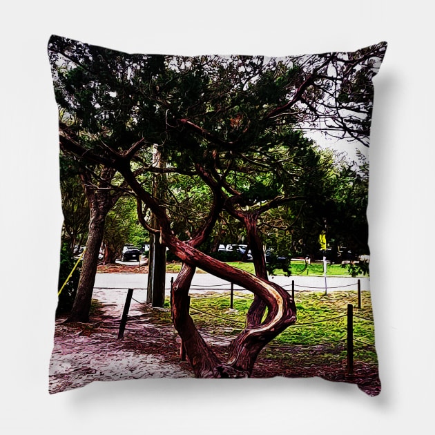 The Twisted Tree 1123 Pillow by Korey Watkins
