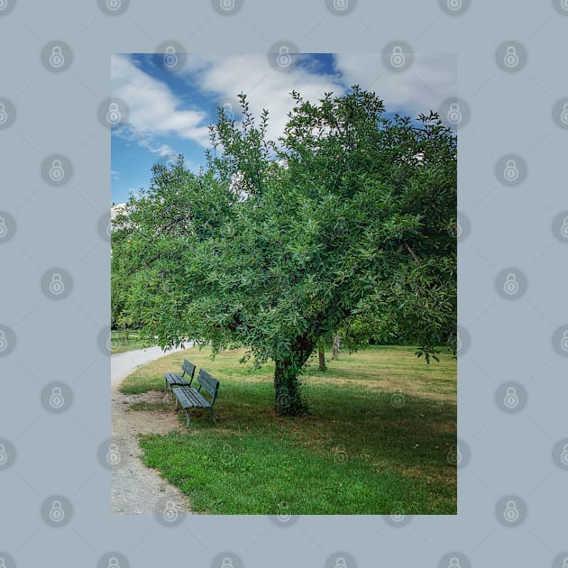 Park Green Tree Grass Sky Relax Bench by eleonoraingrid