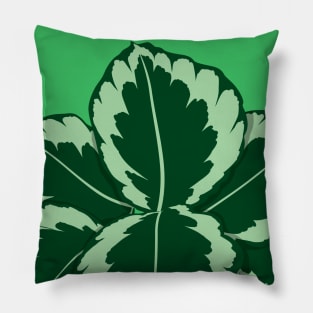 Calathea Eclipse Pillow