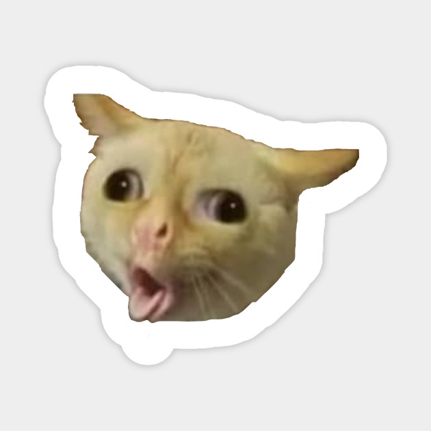 Cat Coughing Like A Kid Meme Cat Coughing Like A Kid Meme