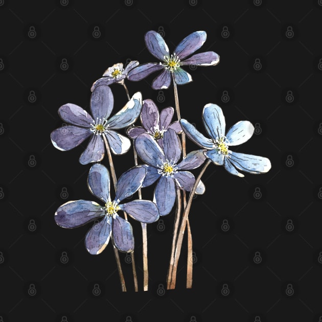 Hepatica Flowers Watercolor Painting by Ratna Arts