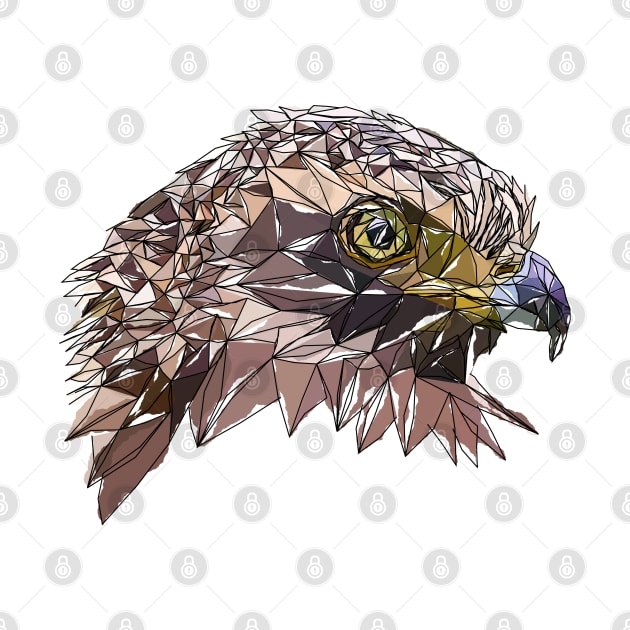 Crested Serpent-eagle watercolor by Edwardmhz