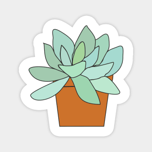 succulent in a pot Magnet