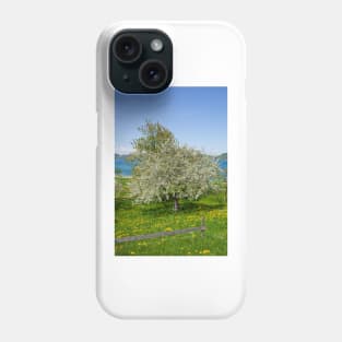 Flower meadow with fruit trees in spring, Bad Wiessee, Tegernsee Phone Case