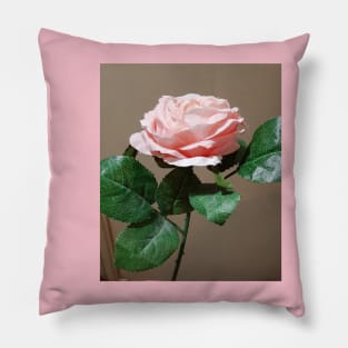 A pink rose Pillow