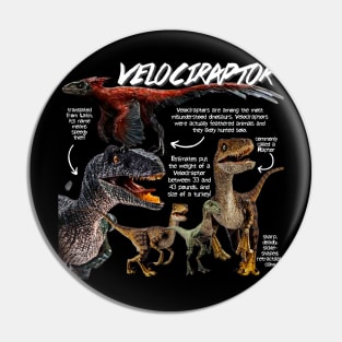 Velociraptor Fun Facts Pin