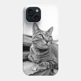 Cat portrait Phone Case