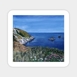 THE SOUTH WEST COAST PATH BRIXHAM Magnet