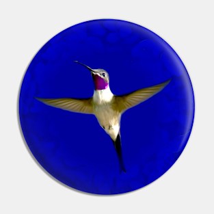 Hummingbird Pin