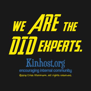 We ARE the DID Experts T-Shirt