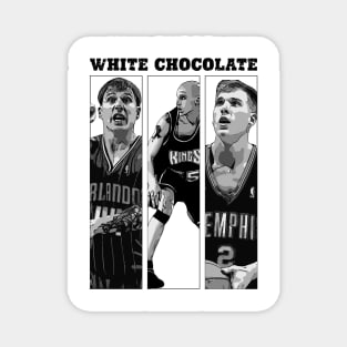 Jason Williams Basketball Magnet