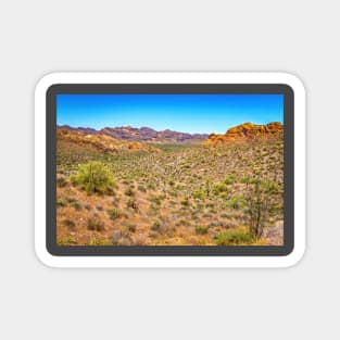 Apache Trail Scenic Drive View Magnet