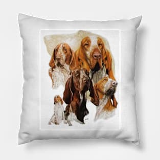 Bracco Italiano Pillow