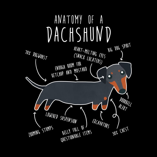 Black and Tan Dachshund Dog Anatomy by Psitta