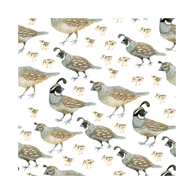 Watercolor Quail pattern by paintedpansy