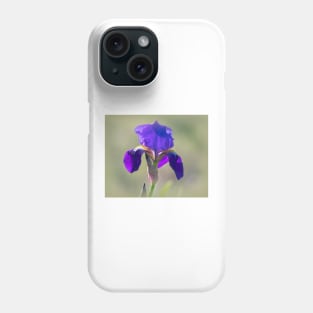 Wild Purple Bearded Iris Phone Case