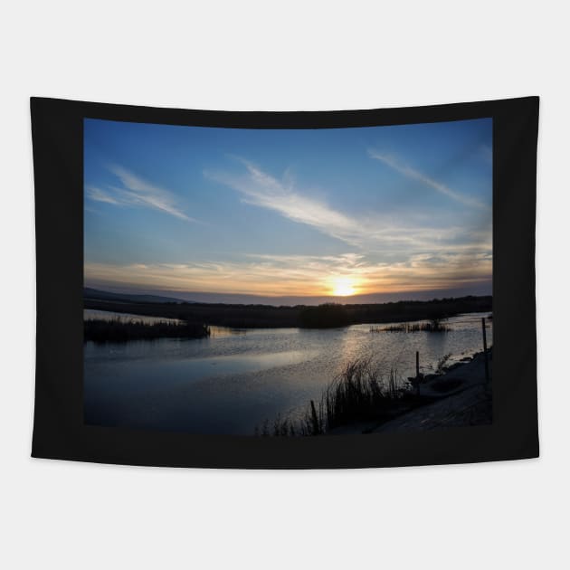 Breathtaking sunset in Danube Delta, Romania, in a summer day Tapestry by NxtArt