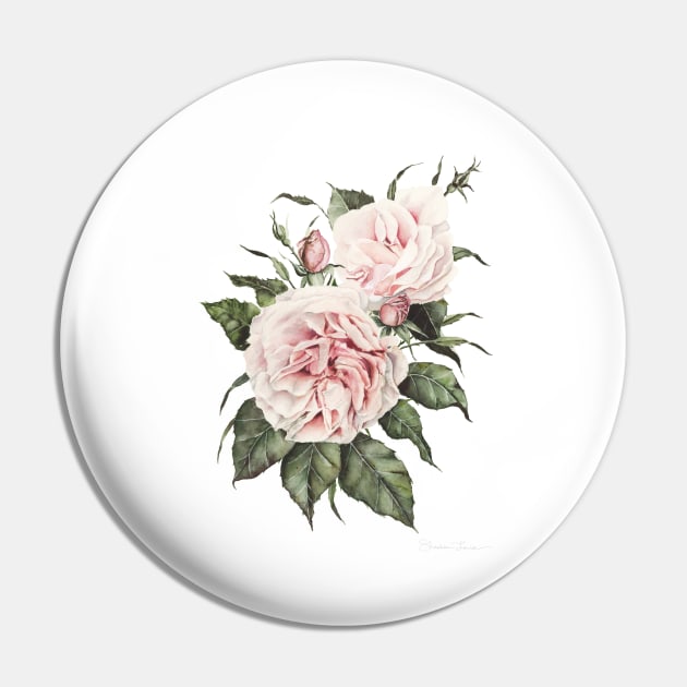 Pink Garden Roses Pin by ShealeenLouise