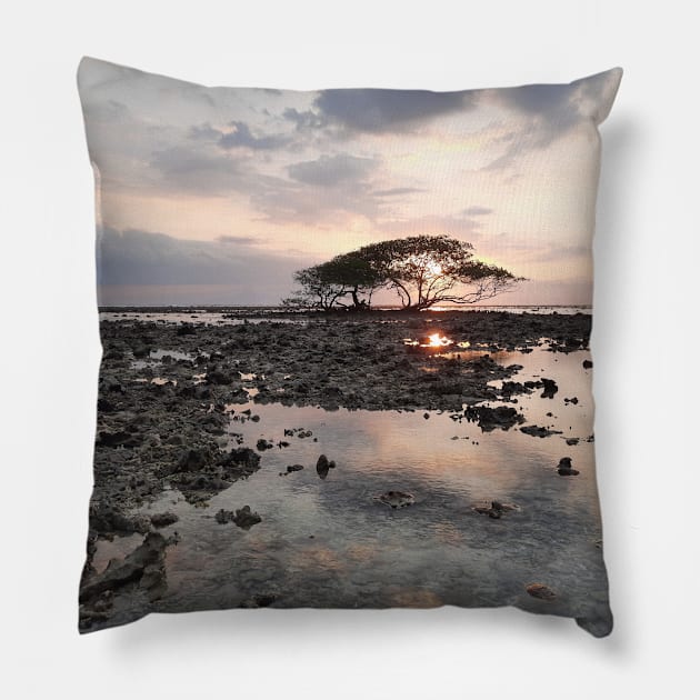 Single tree at Gili Trawangan beach Pillow by kall3bu