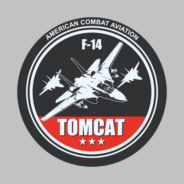 F-14 Tomcat by Tailgunnerstudios