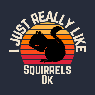 I Just Really Like Squirrels Ok: Vintage Sunset Retro T-Shirt