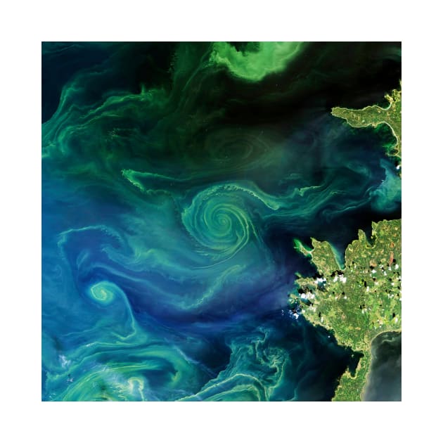 Marine phytoplankton bloom, Finland, 2018 (C042/0027) by SciencePhoto