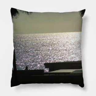 Still waters run deep Pillow