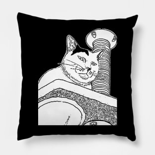 Fat Cat Funny Expression Pillow