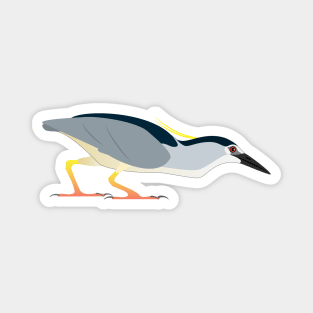 Crouching Night-Heron Magnet