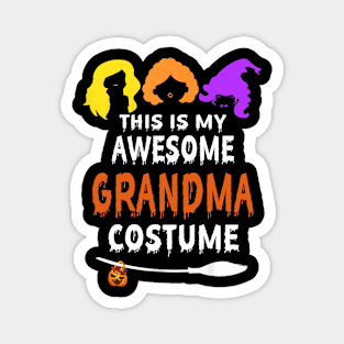 this is my awesome grandma costume Magnet