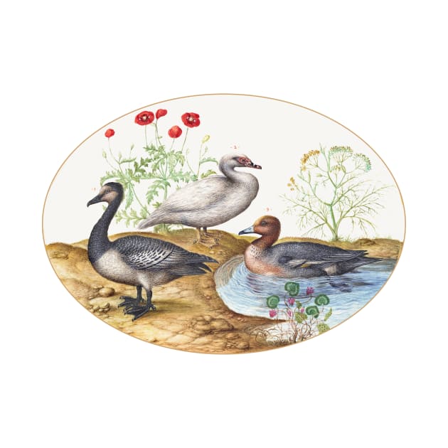 Geese with Poppies (1575–1580) by WAITE-SMITH VINTAGE ART